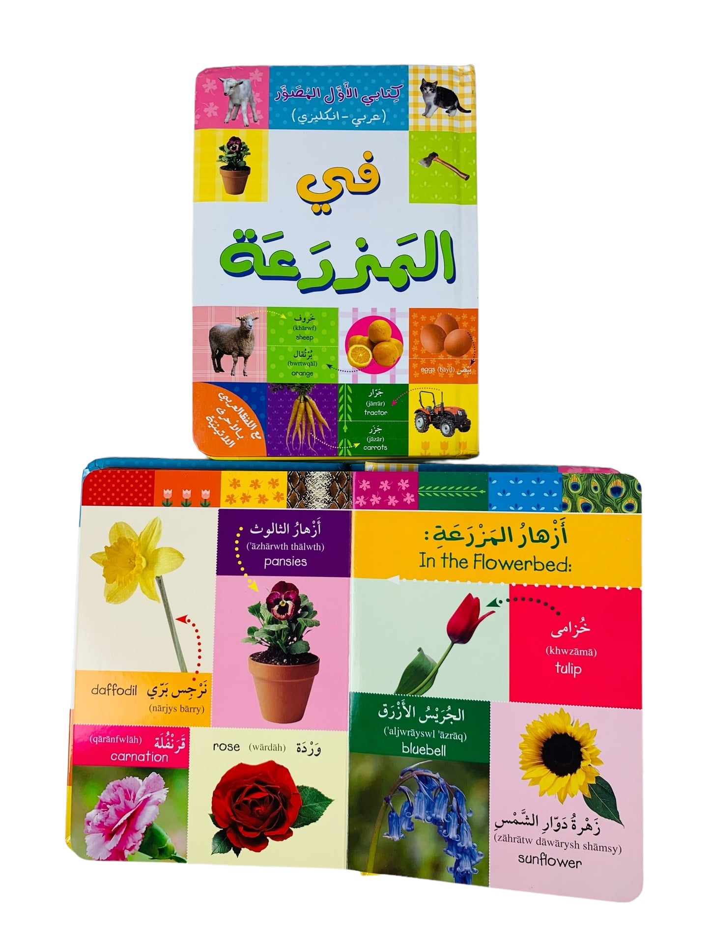 كتابي الأول المصور _ في المزرعة