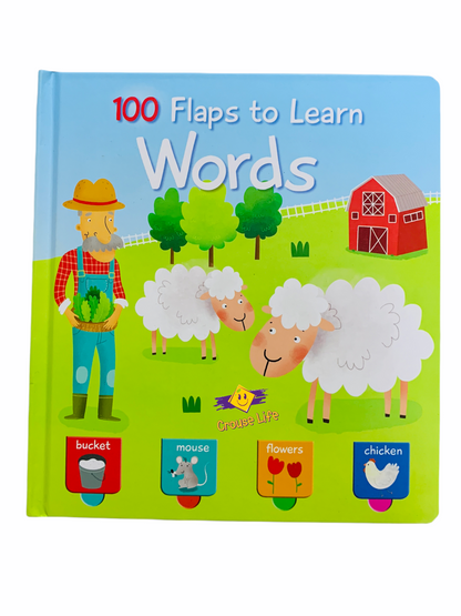 100 flaps to learn