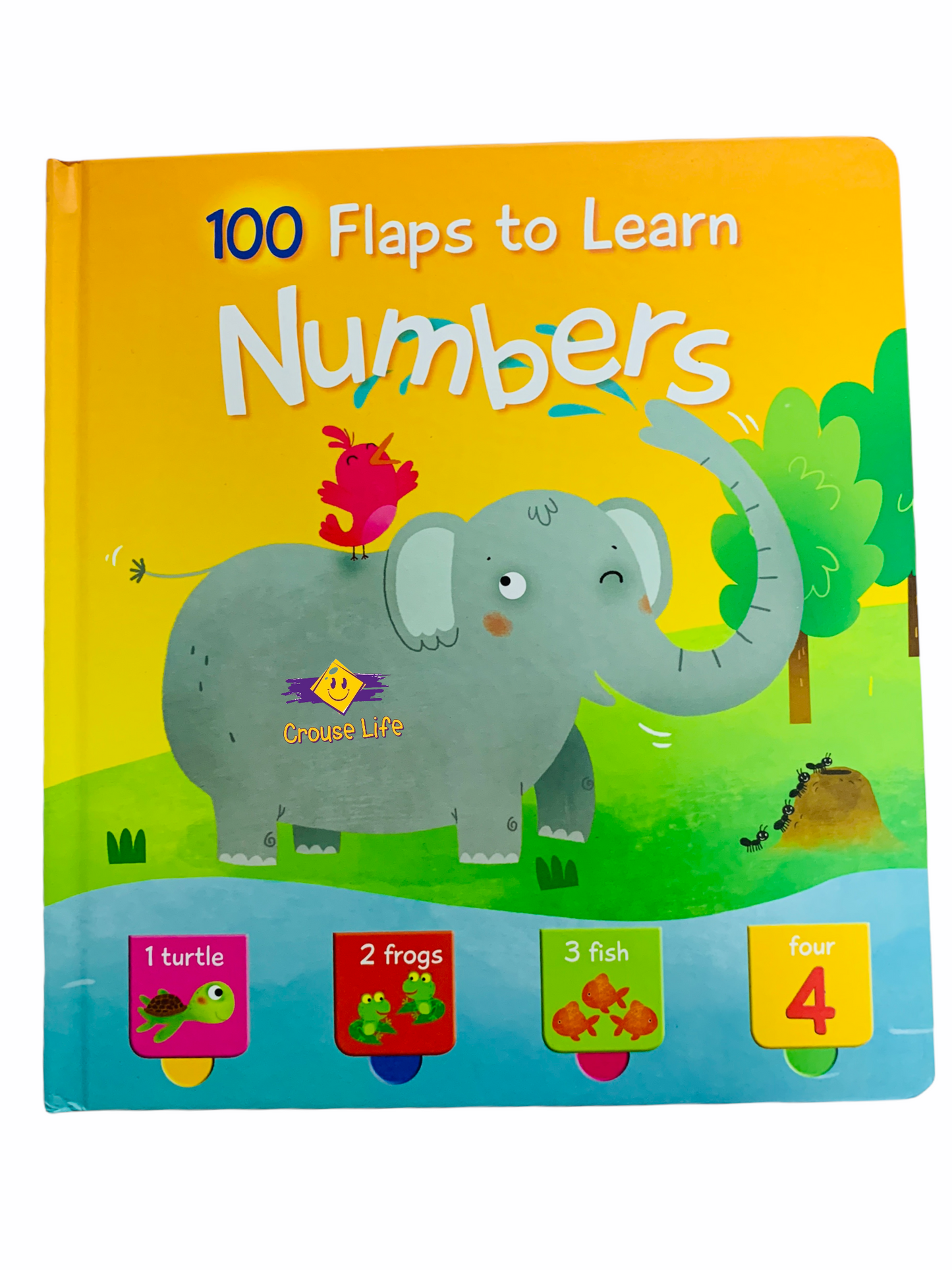 100 flaps to learn