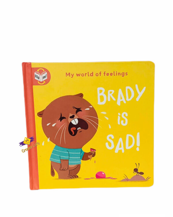 My world feelings _ Brady is sad