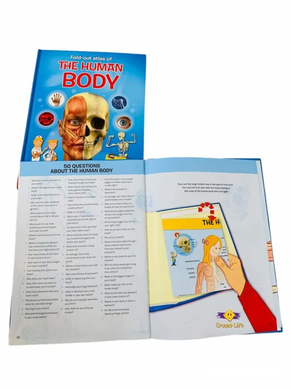 ⁦My fold-out atlas of The human body⁩ - الصورة ⁦5⁩