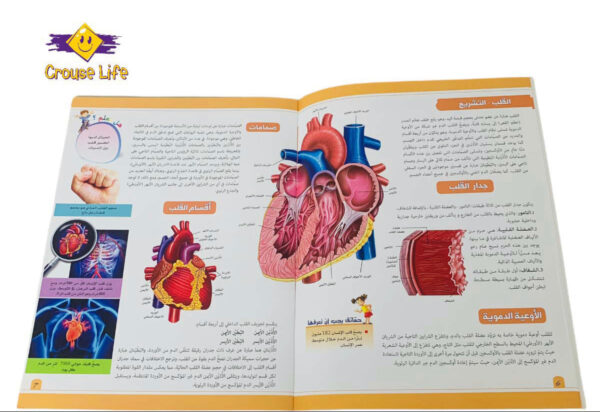 موسوعة جسم الإنسان _ الدورة الدموية والجهاز التنفسي - Image 3