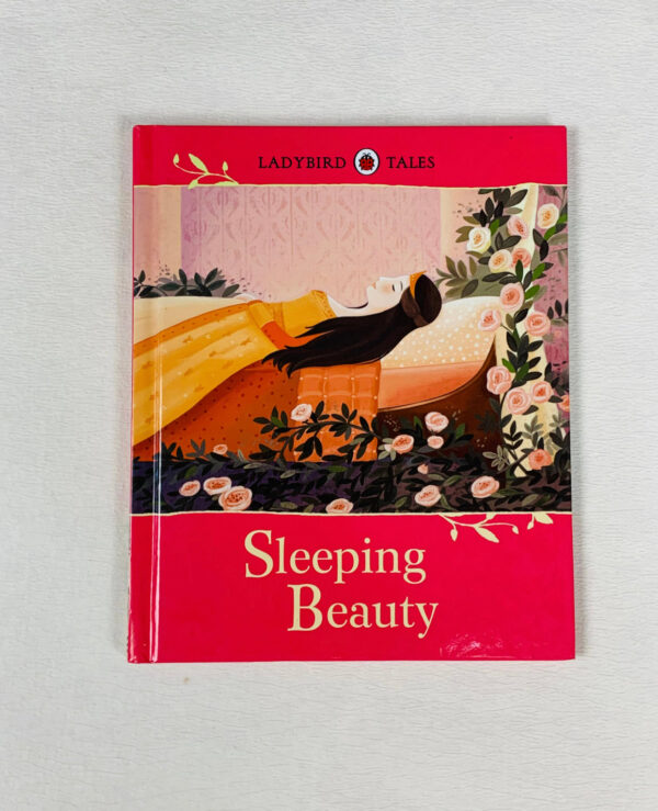 Ladybird tales _ sleeping beauty