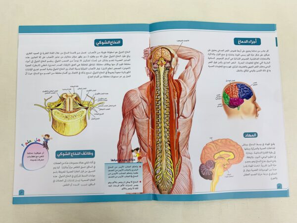 ⁦موسوعة جسم الإنسان _ الجهاز العصبي⁩ - الصورة ⁦3⁩