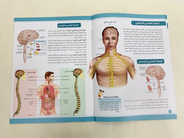 ⁦موسوعة جسم الإنسان _ الجهاز العصبي⁩ - الصورة ⁦2⁩