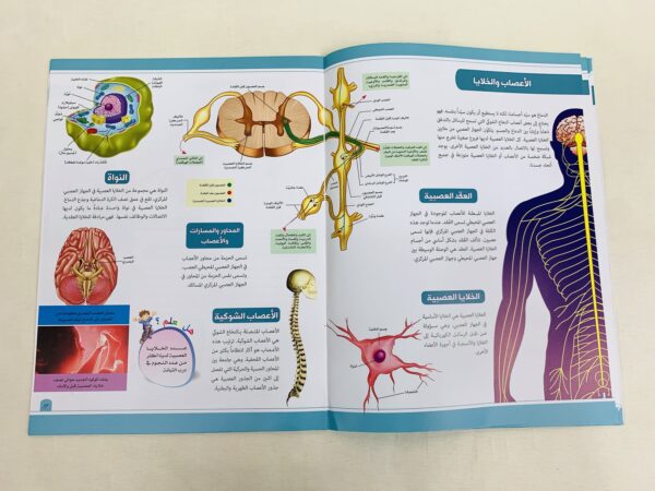 موسوعة جسم الإنسان _ الجهاز العصبي